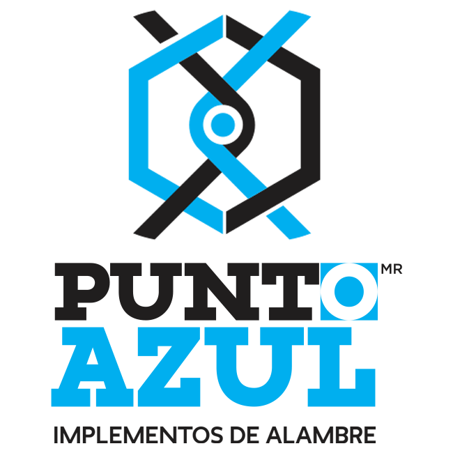Punto Azul